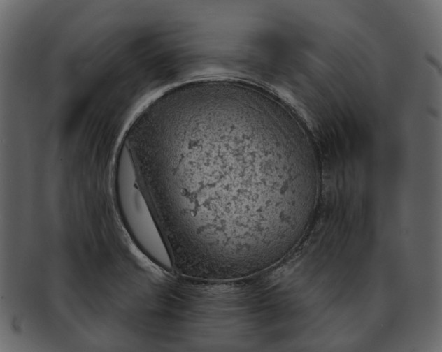 X0000093111421200710171213