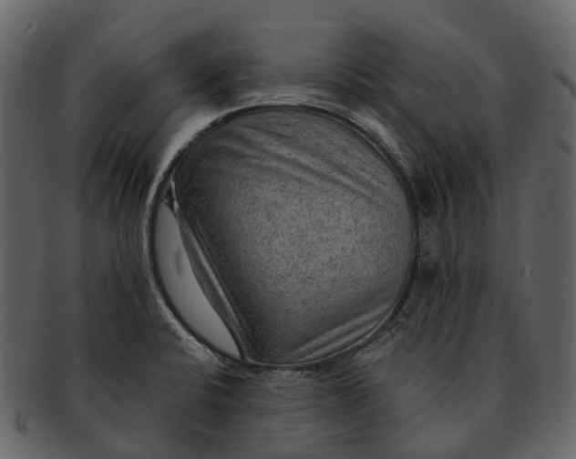 X0000093111424200710171213