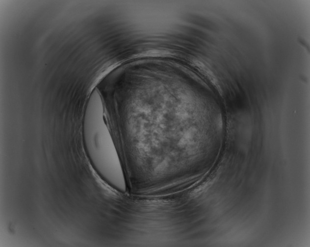 X0000093111425200710171213