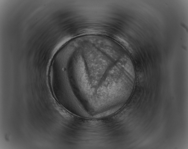 X0000093111427200710171213