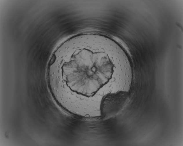 X0000093111429200710171213