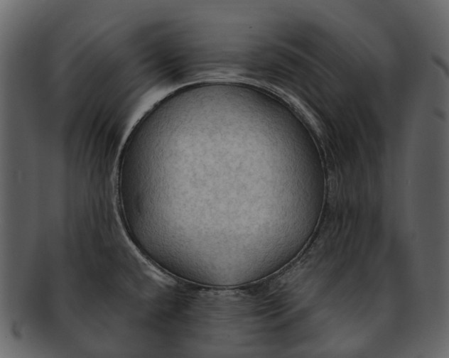 X0000093111432200710171213