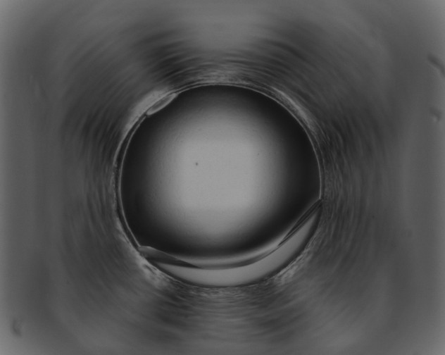 X0000093111434200710171213