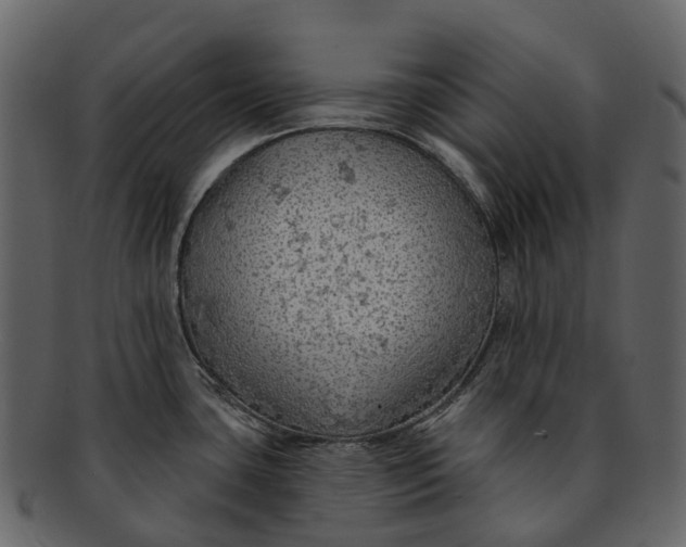 X0000093111435200710171213