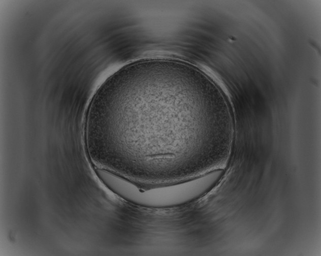 X0000093111437200710171213