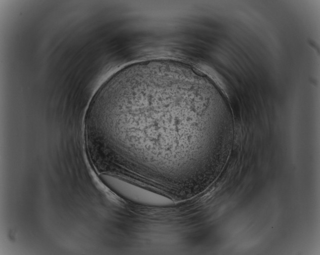 X0000093111439200710171213