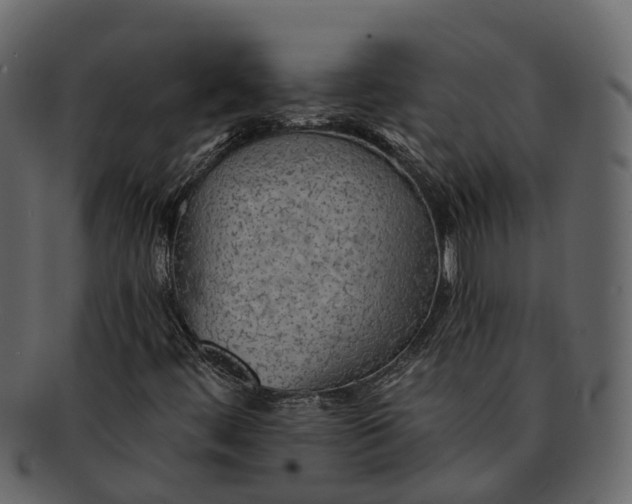 X0000093111444200710171212