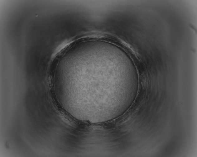 X0000093111448200710171212