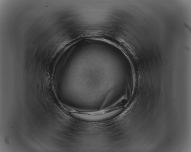 X0000093111449200710171212