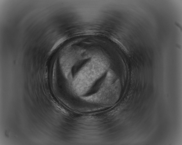 X0000093111450200710171212