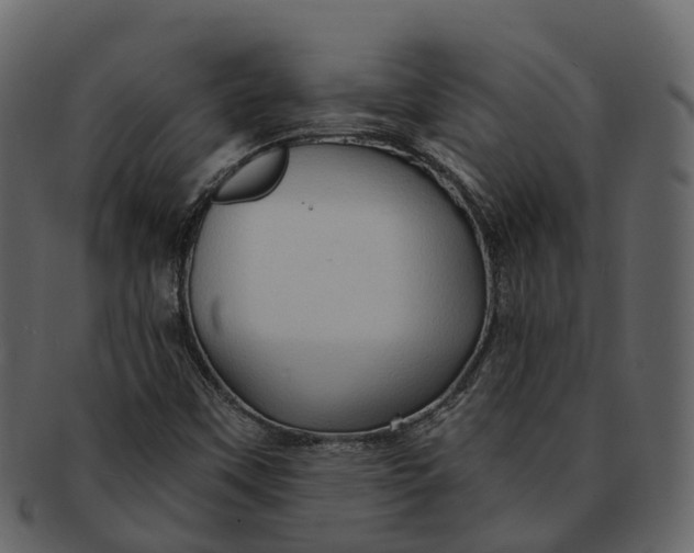 X0000093111451200710171212