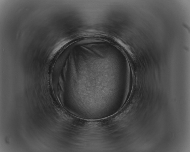 X0000093111453200710171212