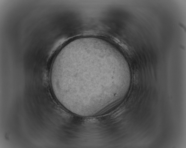 X0000093111454200710171212