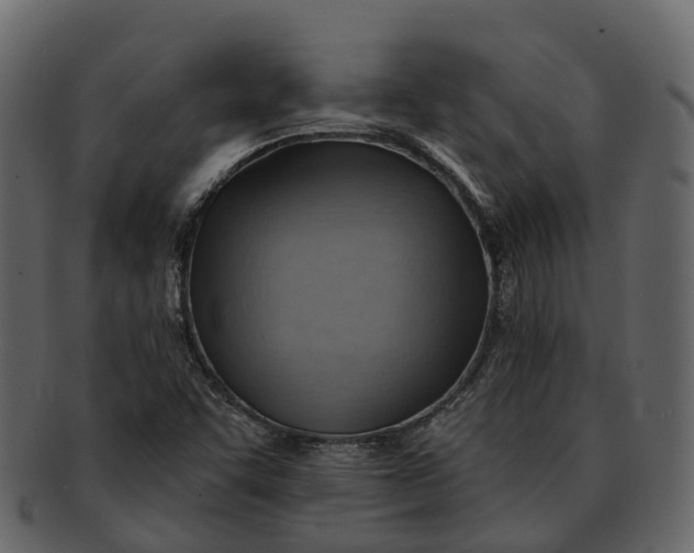 X0000093111455200710171212