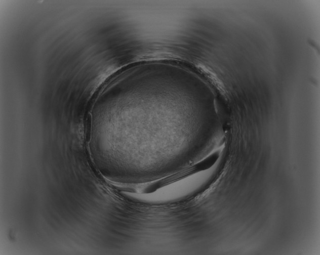 X0000093111457200710171212