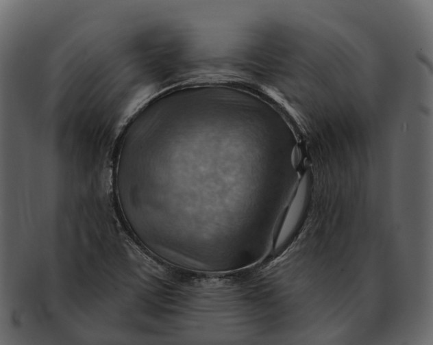 X0000093111459200710171212