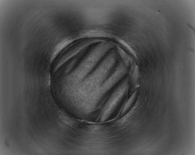 X0000093111461200710171212