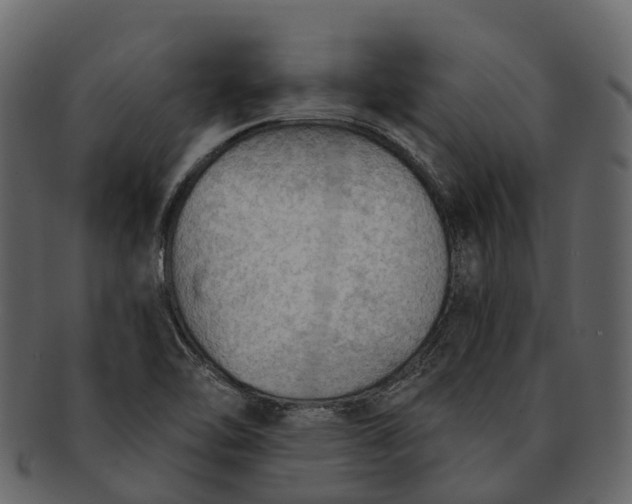 X0000093111462200710171212