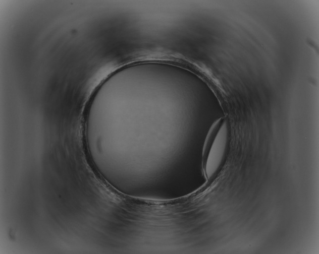 X0000093111463200710171212