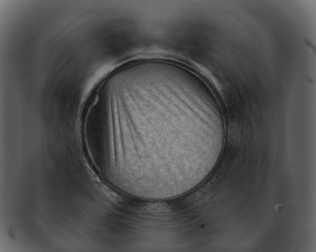 X0000093111464200710171212