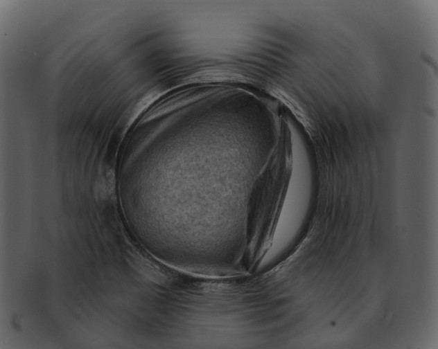 X0000093111465200710171212