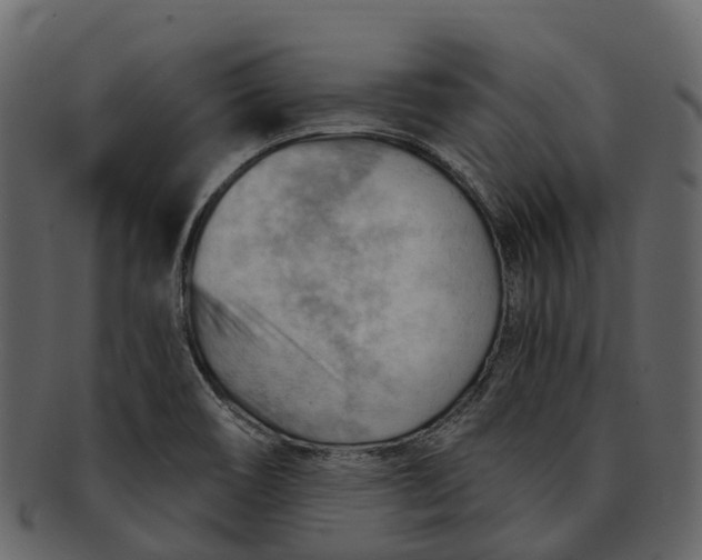 X0000093111466200710171212