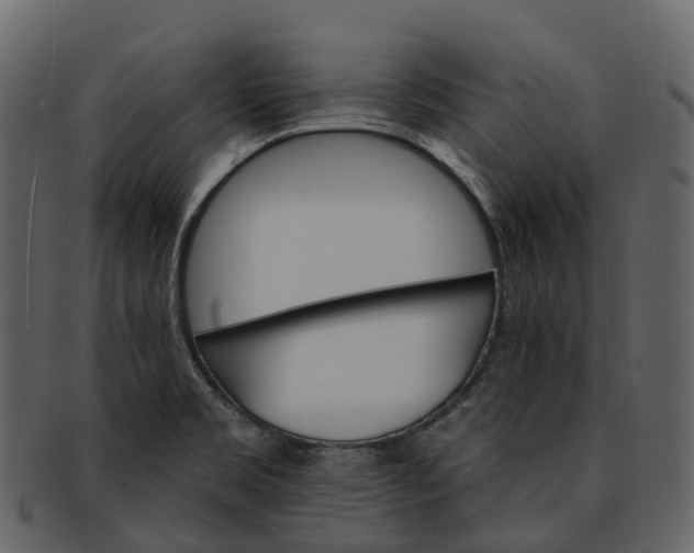 X0000093111469200710171212