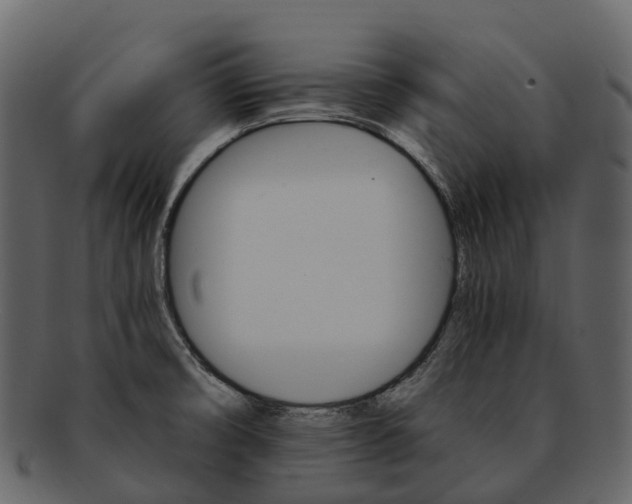 X0000093111474200710171212