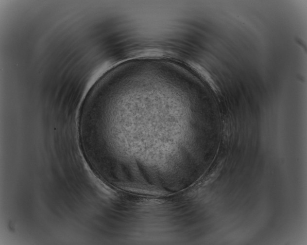 X0000093111475200710171212