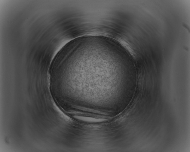 X0000093111476200710171212