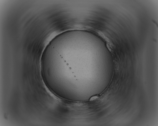 X0000093111479200710171212