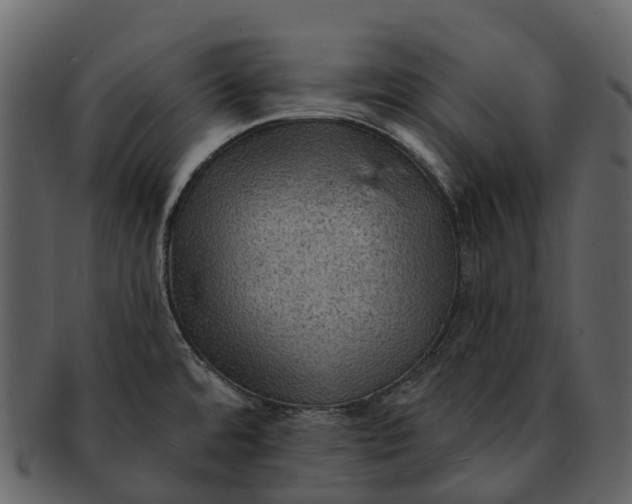 X0000093111480200710171212