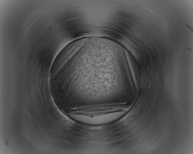 X0000093111484200710171212