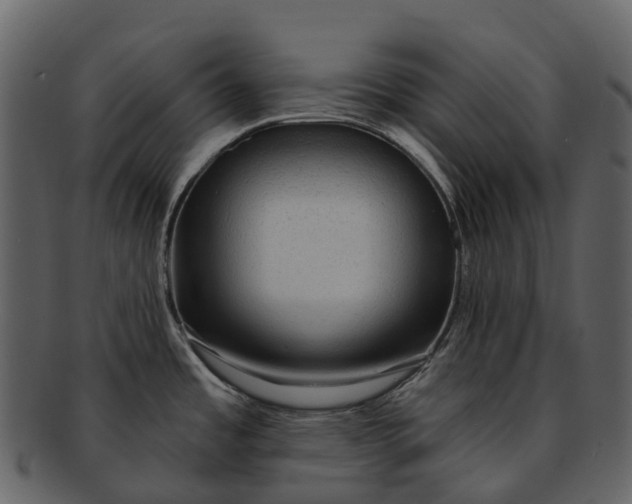 X0000093111485200710171212