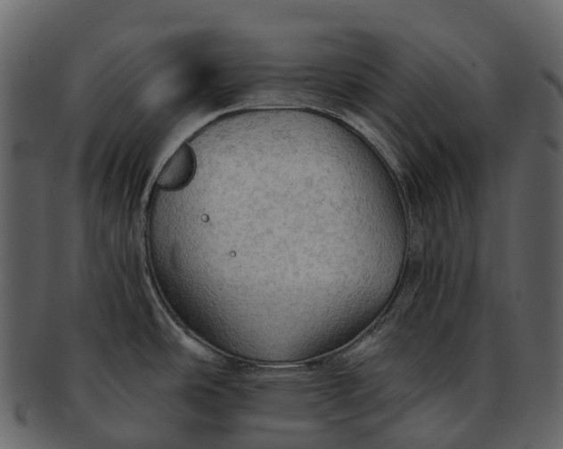 X0000093111486200710171212