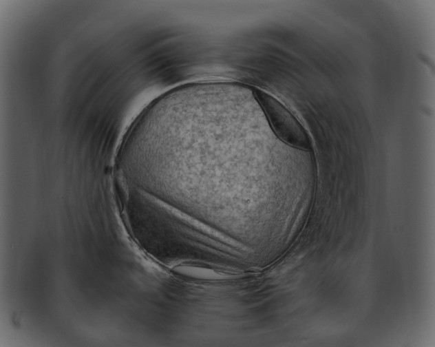 X0000093111488200710171212