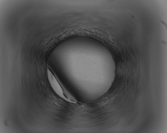 X0000093111490200710171211