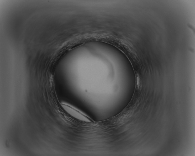 X0000093111492200710171211