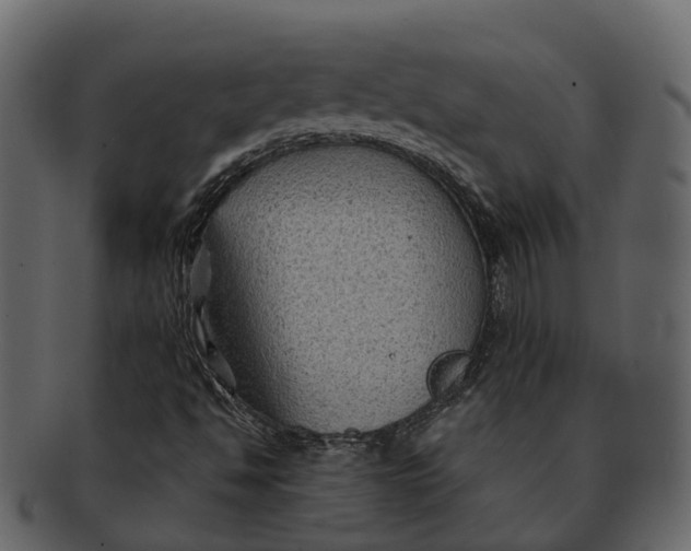 X0000093111494200710171211