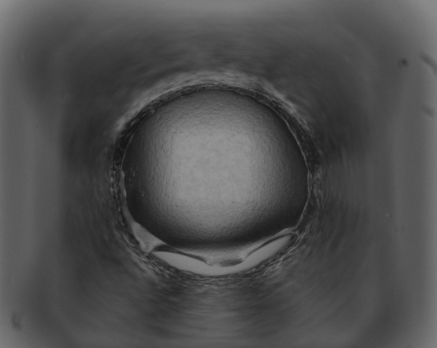 X0000093111496200710171211