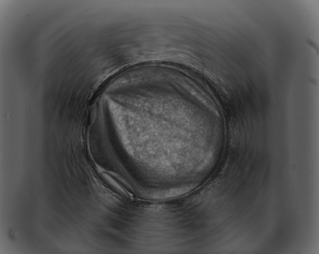 X0000093111497200710171211