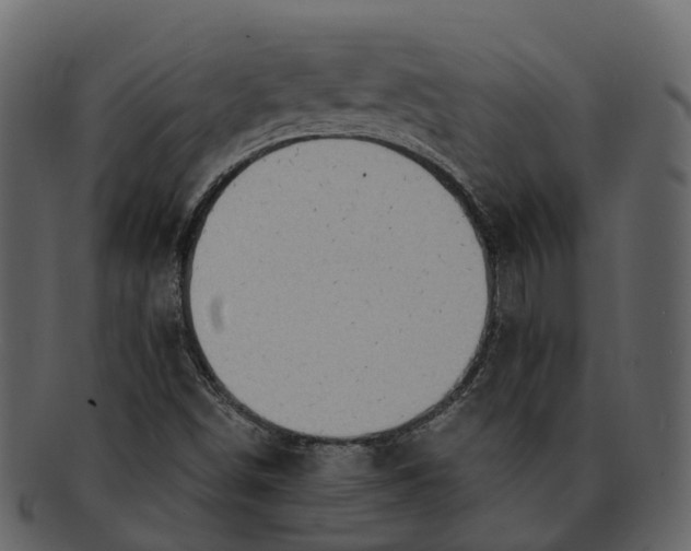 X0000093111498200710171211