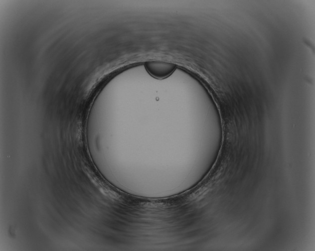 X0000093111499200710171211