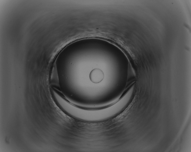 X0000093111500200710171211