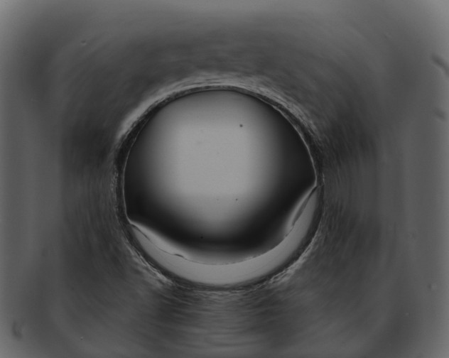 X0000093111502200710171211