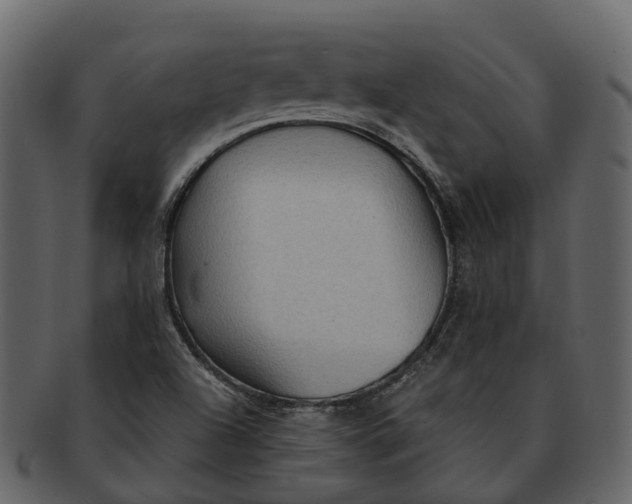 X0000093111504200710171211