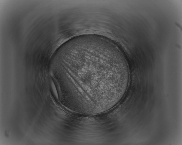 X0000093111505200710171211