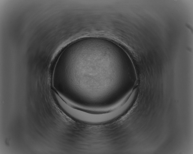 X0000093111506200710171211