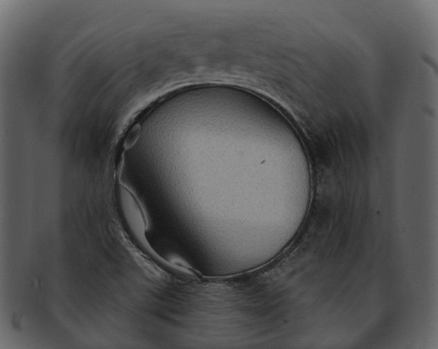 X0000093111507200710171211