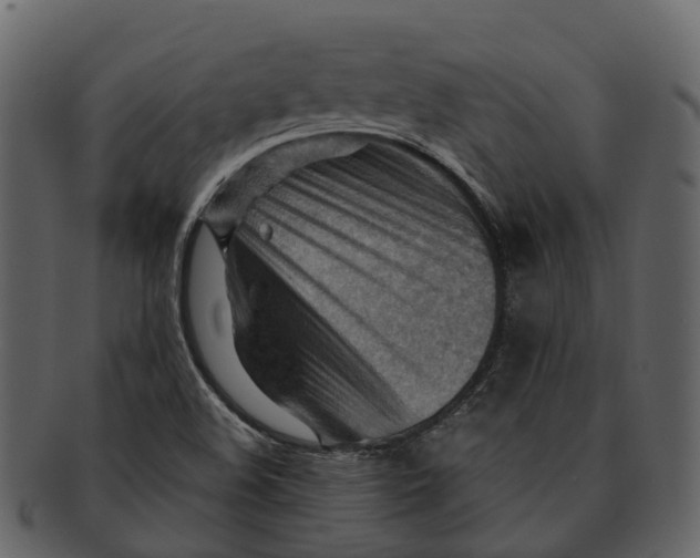 X0000093111508200710171211